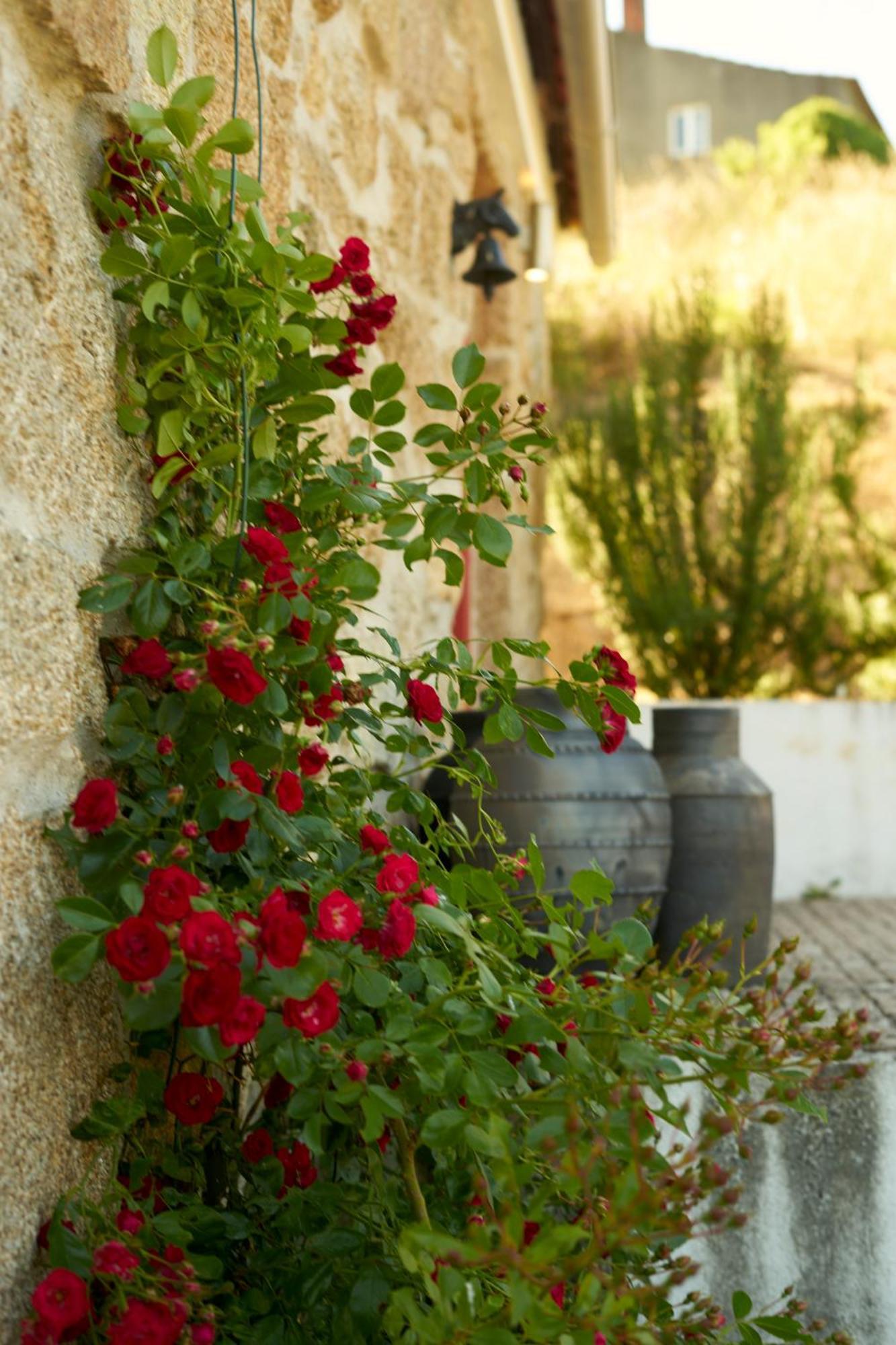 Quinta Da Peca Douro Vinhateiro Vila Real Exterior photo